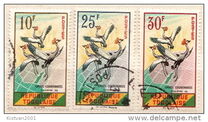[Black Crowned Crane, type CY]