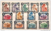 [Dromedary Camels, tegund D]