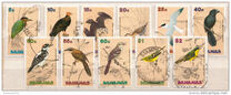 [Birds, प्रकार VF]