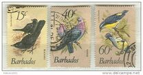 [Birds, Вид OW]