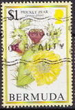 [Flowering Fruits, type TY]