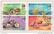 [Marine Snails, type FY]