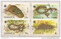[WWF - Jamaican Boas, Вид UY]
