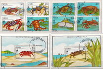 [The 500th Anniversary of Discovery of America by Columbus - New World Natural History-Crabs, 类型 RC]