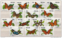 [Butterflies, 类型 SK]