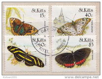 [Butterflies, type IJ]