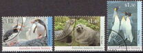 [Antarctic Wildlife, 유형 CQ]