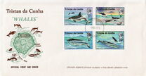 [Whales and Dolphins, Вид FF]