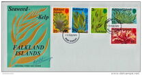 [Kelp and Seaweed, type GZ]