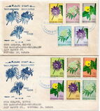 [Airmail - Haitian Flowers, type HX2]