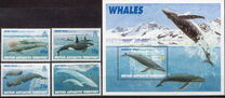 [Whales, type IH]