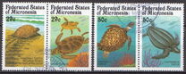 [Sea Turtles, 类型 HG]