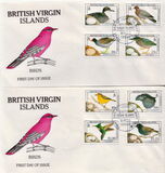 [Birds, type UQ]