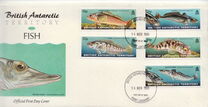 [Fish of the Antarctic Waters, 類型 LB]