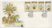 [Ferns, type DL]
