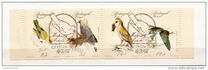 [Rare Birds, tegund BV]