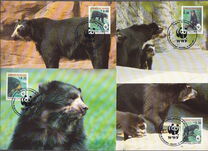 [The Spectacled Bear, प्रकार AII]