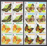 [Butterflies, տեսակ LE]