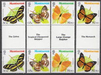 [Butterflies, տեսակ LE]