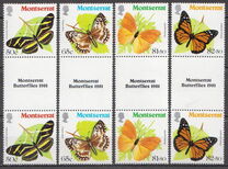 [Butterflies, տեսակ LE]