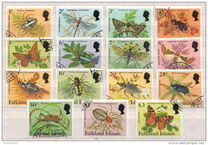 [Spiders and Insects, type LG]