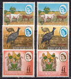 [Local Motives - Lithopraphed, Tip V1]