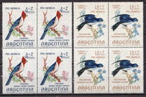 [Child Welfare - Birds, type WE]