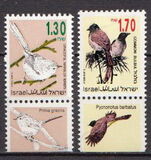 [Songbirds, type AUG]