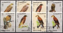 [Birds - Falcons, type HQ]