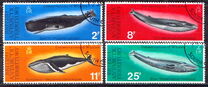 [Conservation of Whales, type AX]