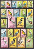 [Birds, タイプ DC]