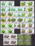 [Medicinal Plants, Scrivi AAI]