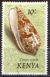 [Seashells, ประเภท AW]