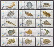 [Fossils, type ET]