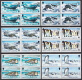 [Global Conservation - Seals and Penguins, tip GC]
