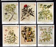 [Nature and Art, Typ BAR]