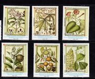 [Nature and Art, type BFI]