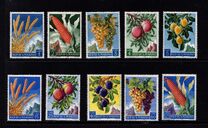 [Fruits, ประเภท JW]