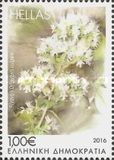 [Flowers - Blooming Herbs of Greece, typ CNH]