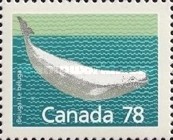 [Canadian Mammals, type AOK]