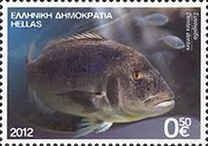 [Marine Life - Riches of the Greek Seas, type CEM]