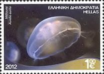 [Marine Life - Riches of the Greek Seas, type CEO]