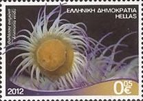 [Marine Life - Riches of the Greek Seas, type CEJ]