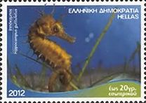 [Marine Life - Riches of the Greek Seas, type CEN]