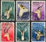 [Airmail, סוג CG]