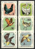 [Nature Conservation - Birds, type ALV]