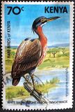 [Birds, Typ JW]