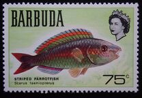 [Fish, タイプ F]