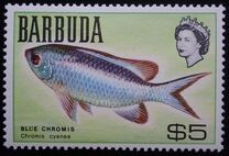 [Fish, タイプ I]