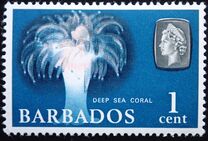 [Marine Life, Вид DP]